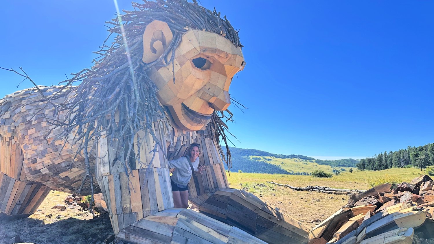 限定　ルイヴィトン　ノベルティ　HOTEL TROLL GLASS DOME Last of 6 Pacific Northwest trolls rises in Seattle's Ballard